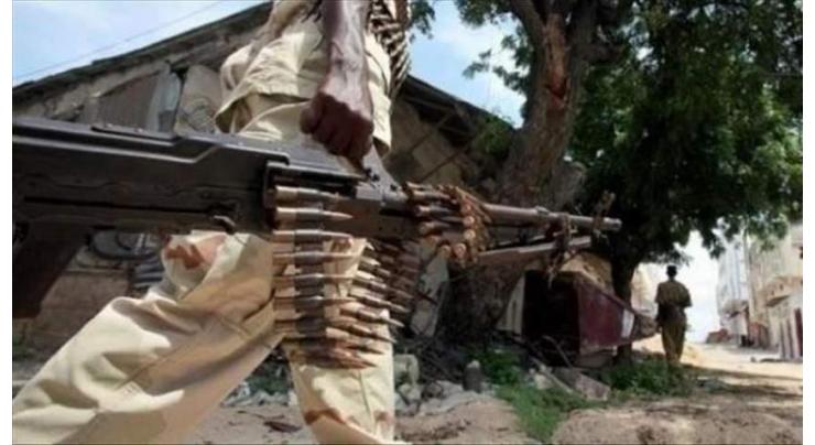 20 al-Shabab militants killed in southern Somalia
