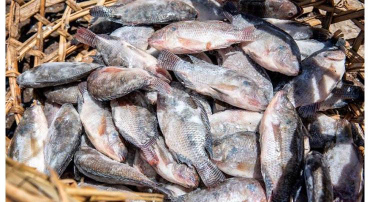 Fishing, business of China Fish banned for three months
