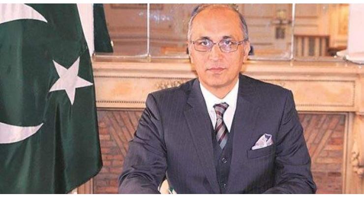 IT, banking, Telecom industry developing robustly in Pakistan: Ambassador Haque
