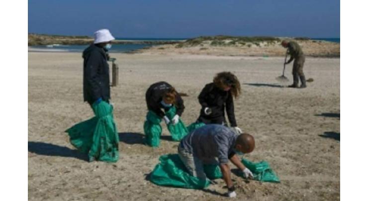 Lebanese clear tar pollution from turtle beach
