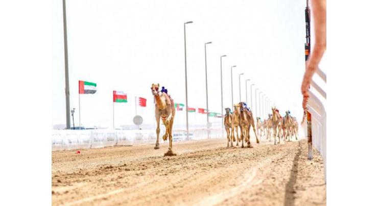Final Annual Camel Races Festival &#039;Wathba 2021&#039; starts Monday