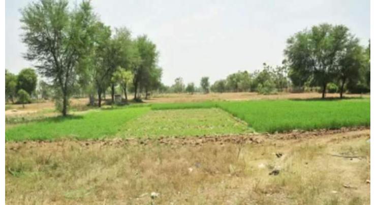 2000 kanal state land valuing Rs 320m retrieved in Jalalpur Pirwala
