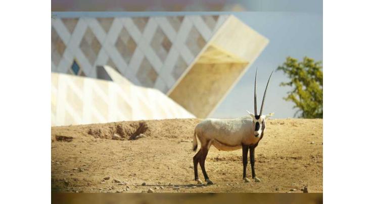 Al Ain Zoo raises awareness about conserving wildlife on World Wildlife Day