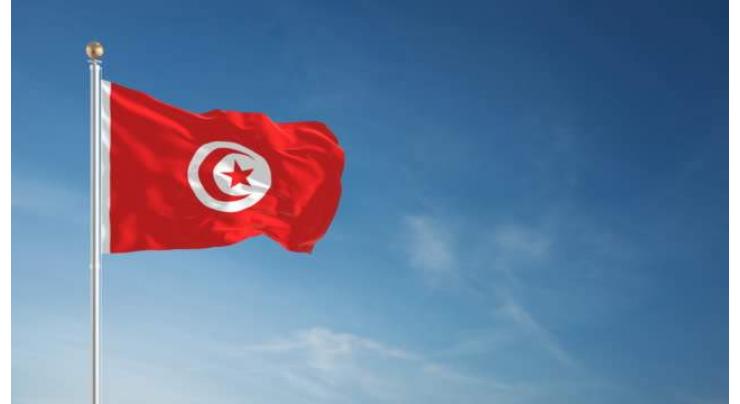 Tunisian activist jailed for 'insulting' police while lodging complaint
