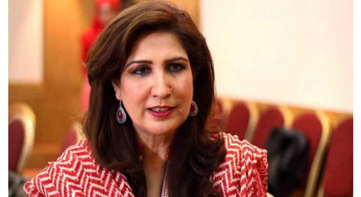 Sindh govt wants to set up more skill, craft centers for women in province: Provincial Minister
