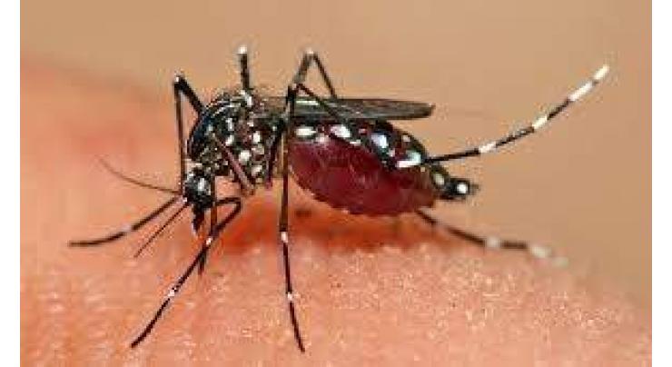 DC for rectifying shortcomings from anti-dengue measures
