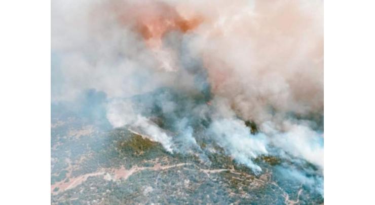 Wildfire smoke more harmful than other pollution sources
