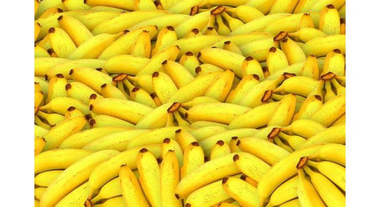 Bananas remain top Lao agricultural export
