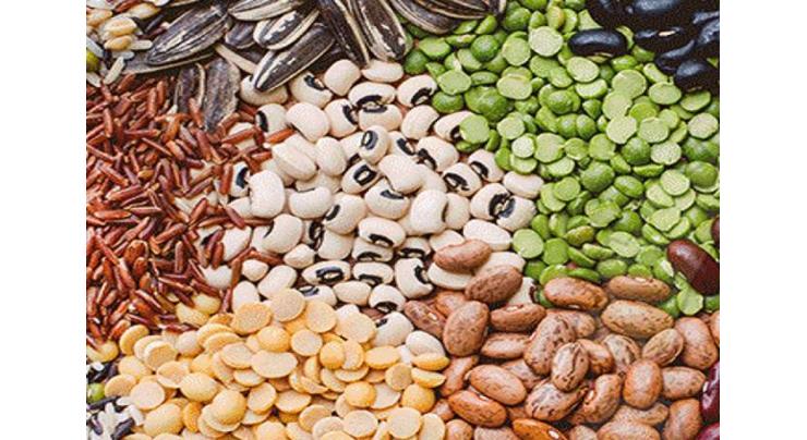 Chinese seed technologies to empower Pakistani seed industry
