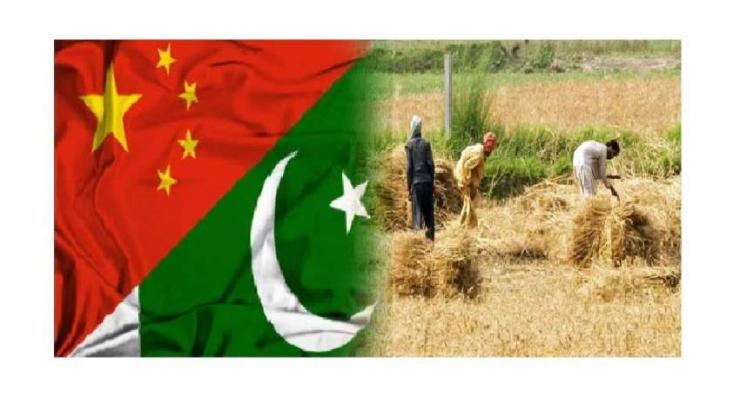 Agri industry upgrade may help reduce Pak-China trade deficit
