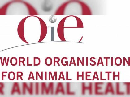 المكتب شبه الإقليمي للمنظمة العالمية للصحة الحيوانية بأبوظبي يعقد اجتماعا مع &quot;شؤون البلديات&quot; في البحرين