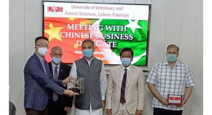Chinese delegation discusses collaboration with UVAS
