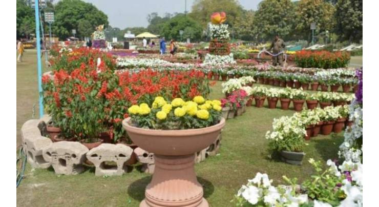 Spring flower show organized by PHA on median of Murree Road attracts citizens
