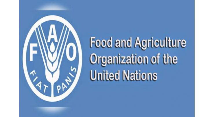 World food price index rises in March for 10th month in a row - FAO
