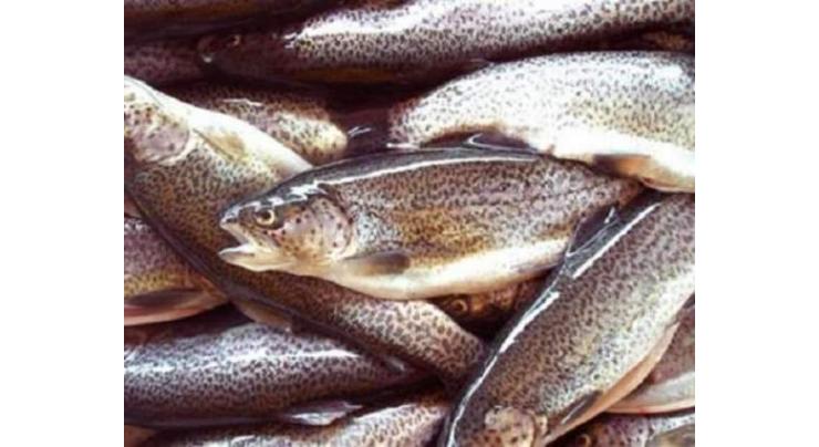 Govt provides Rs112.56 mln for development of  trout fish farming
