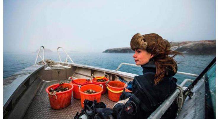 Sweden's only female oyster diver finds calm at sea
