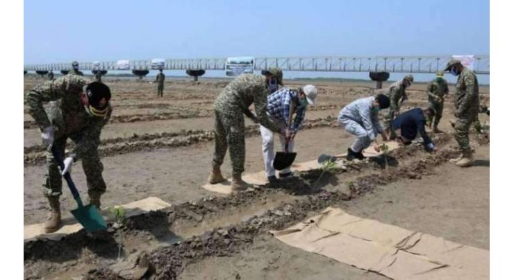 Pakistan Navy launches Mangroves plantation campaign 2021
