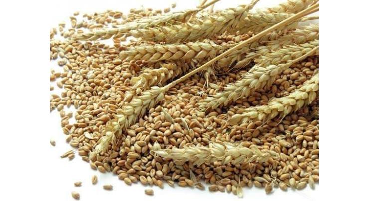 900 maund wheat confiscated over smuggling attempt
