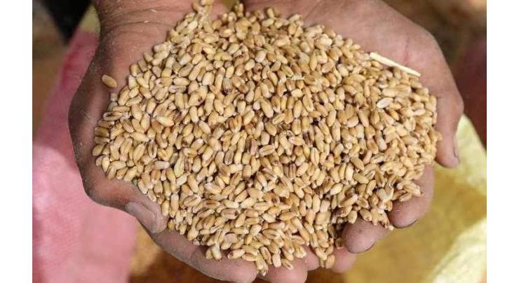 All set for procurement of wheat: DC
