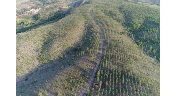 KP Govt to convert Ghari Chandan, Mathani Azakhel forests as ecotourism resorts
