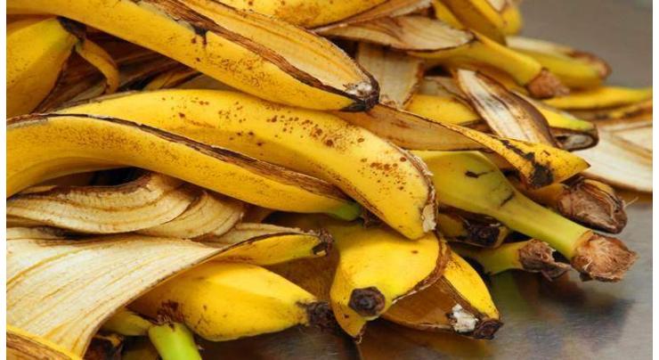 Speakers underlines effective banana waste utilization
