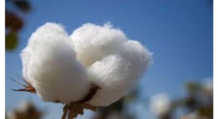 PRGMEA welcomes withdrawal of customs duty on cotton import
