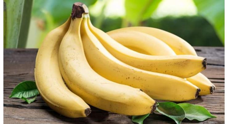 Ecuador to Continue Banana Exports As No Fungus Found in Country - Trade Commissioner