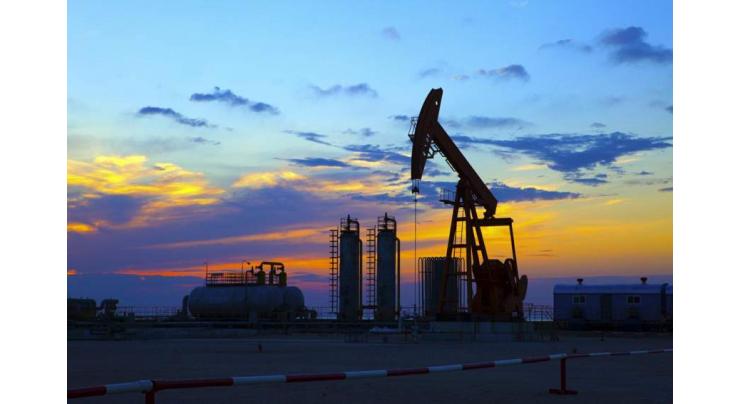Oil import bill shrinks by 15.13% to $7.553 billion in 3 quarters
