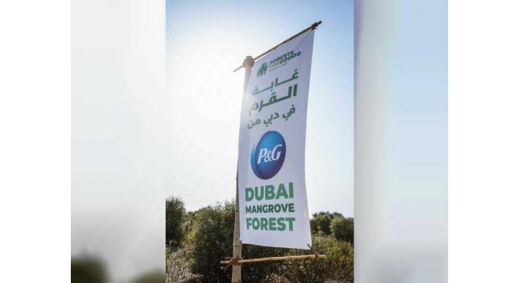 Emirates Marine Environmental Group, Procter &amp; Gamble launch P&amp;G Dubai Mangrove Forest