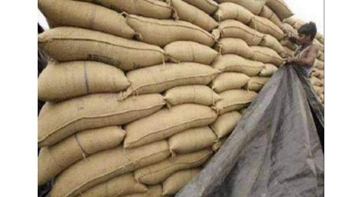 Over 1.996 million tons of gunny bags distributed among wheat growers
