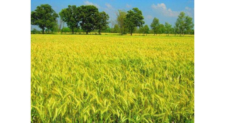 Registration opens for crop insurance to cover farmers' losses
