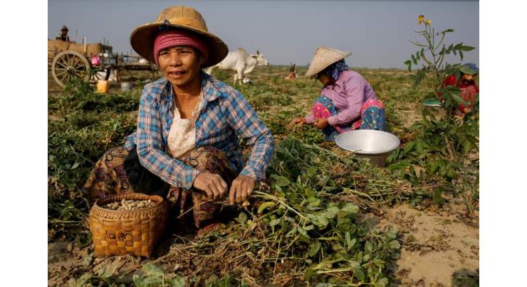 Political crisis, pandemic pushing half of Myanmar into poverty: UN report
