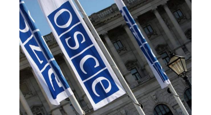 OSCE Should React to West Imposing Digital Censorship Via IT Giants - Russian Deputy Envoy