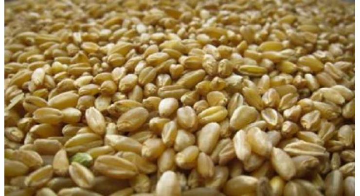 50,000 wheat bags valuing over Rs 110m seized during raids in Shuja Abad
