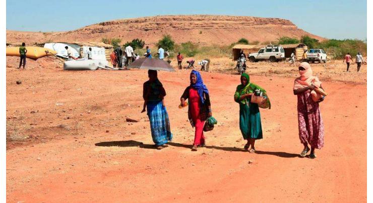 Anti-farming 'campaign' under way in Tigray: state official
