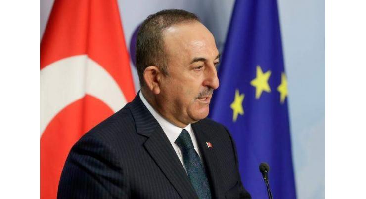 Turkey-Saudi Arabia Cooperation to Bring Regional Stability - Cavusoglu