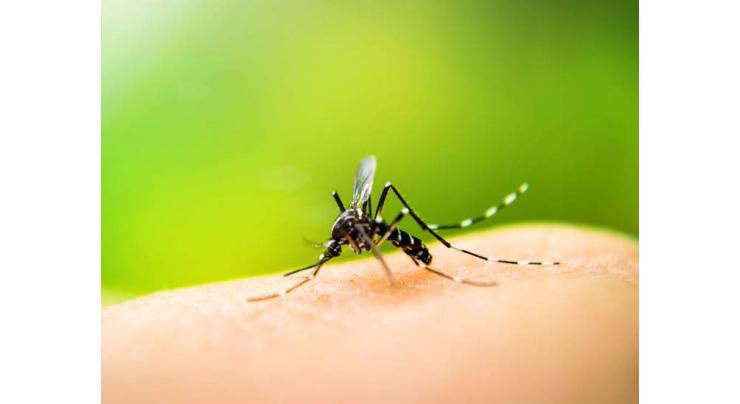 Prior dengue infection can double Covid-19 risk: Study

