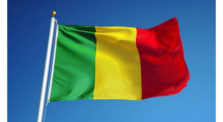 Mali's interim government appoints new ministers
