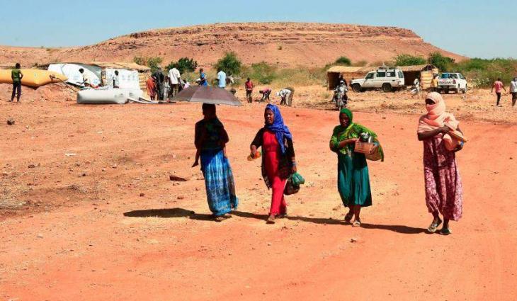 Anti-farming 'campaign' under way in Tigray: state official