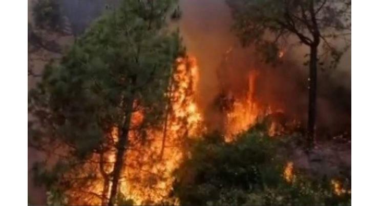 Forest fires in Margallas destroy millions of species water source: Z.B. Mirza
