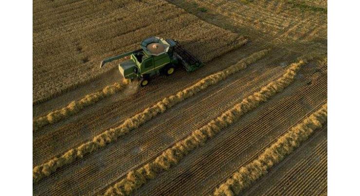 U.S. agricultural futures rise
