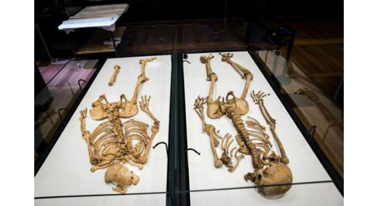 Two Viking relatives reunited in Denmark after 1,000 years
