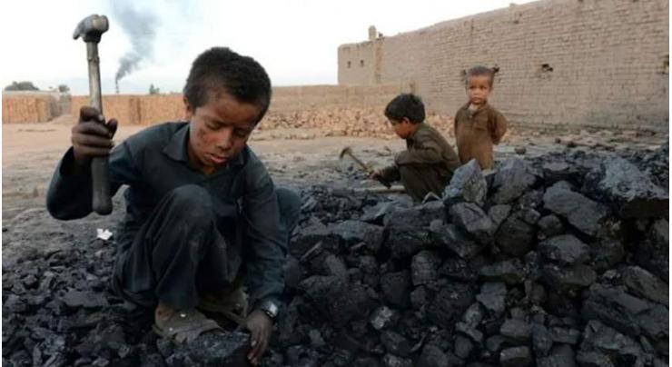 Child labour rises to 160 million, first time in two decades: UN report
