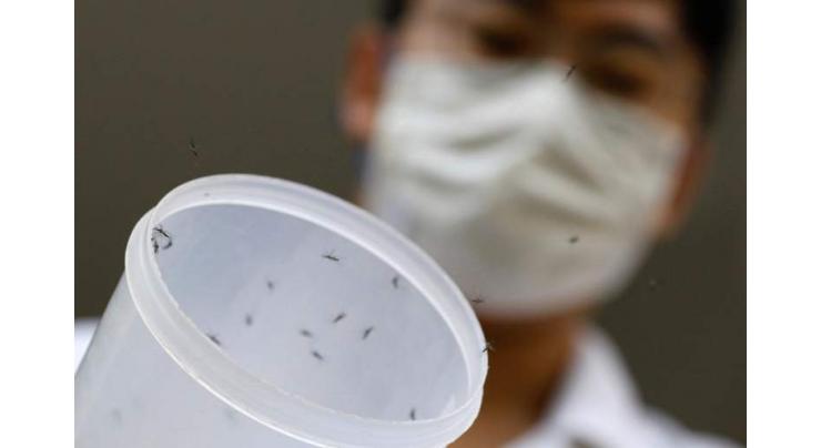 Dengue fever cut by 77% in groundbreaking mosquito trial
