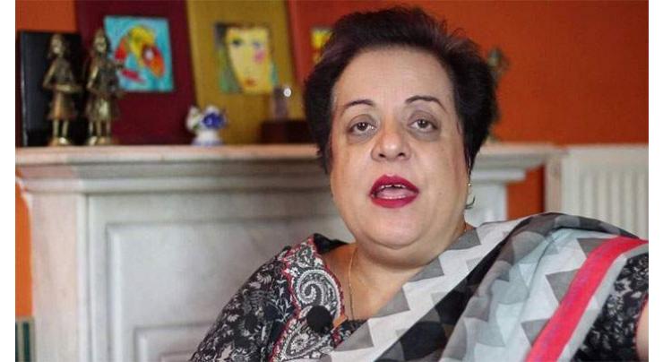 Govt committed to protecting future generation: Shireen Mazari
