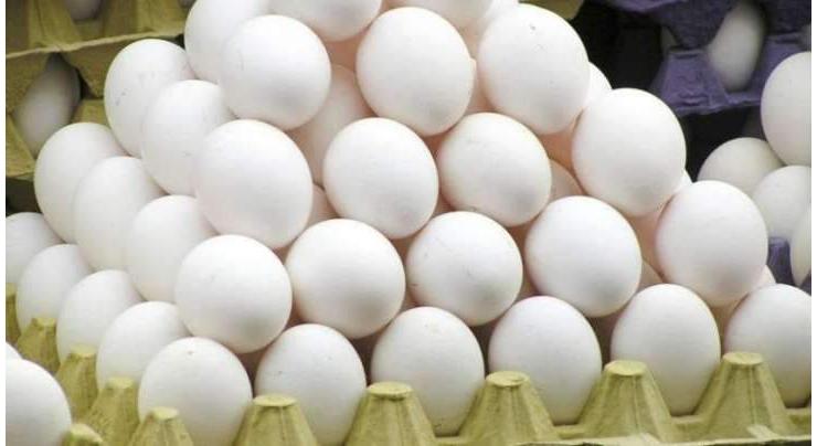 Food Authority seals snack factory, discards 2500 rotten eggs
