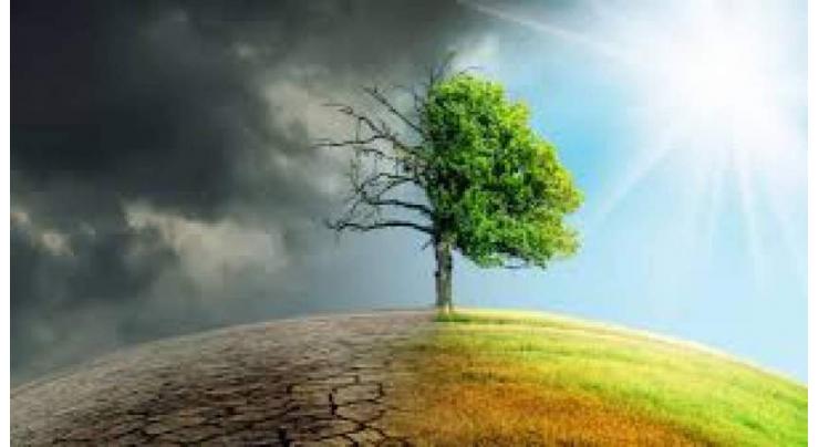 Punjab govt allocates Rs 5 bln for environment, climate change
