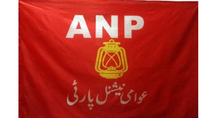 ANP sought applications for social media committee, secretary youth affairs
