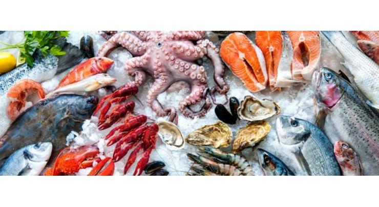 Seafood exports increase by 2.6% in 11 months, 9.53% in May
