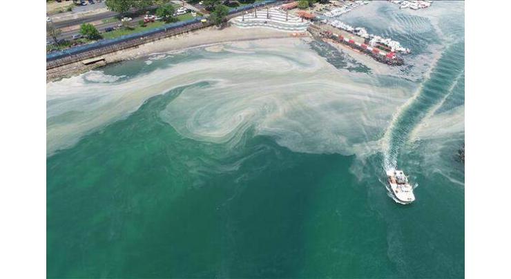 Turkey Cleans Nearly 6,000 Cubic Meters of Mucilage in Marmara Sea - Minister